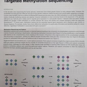 Targeted Methylation Sequencing (Rev 1)