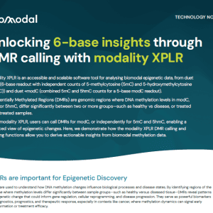 biomodal Tech Note : Unlocking 6-base insights through DMR calling with modality