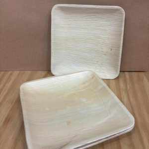 Disposable Bowl