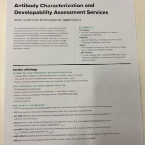 Antibody Characterization and Developability Assessment Service - Biopharma