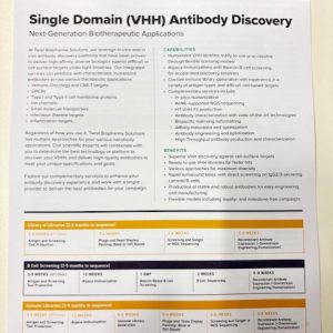 Single Domain (VHH) Antibody Discovery - Biopharma