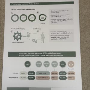 Cell therapy 6-month One-stop solution for IND filing
