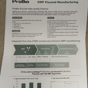 GMP Plasmid Manufacturing