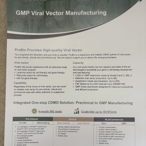 GMP Viral Vector Manufacturing