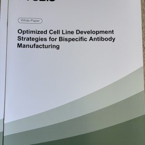 Optimised Cell line development strategies for BsAb manufacturing