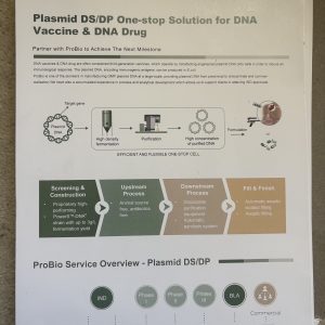 Plasmid DS/DP One-stop Soln for DNA Vacc and Drug