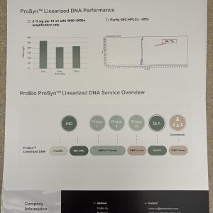 ProSyn Linearized DNA using cell-free technology