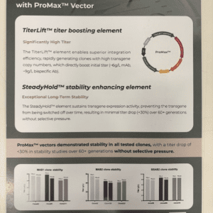 Achieve High Titer and Exceptional Stability with ProMax Vector