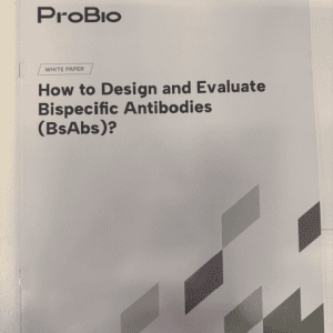 How to design and evaluate Bispecific antibodies (BsAhs)?